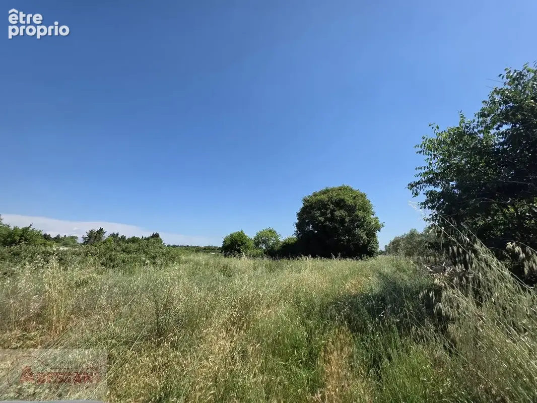 NÎMES EST  Grand foncier patrimonial de 9 775 m² (Secteur Mas Lombard) - photo 8
