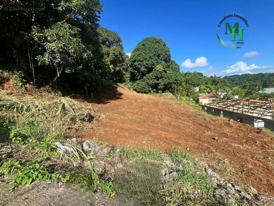 Terrain à GROS-MORNE
