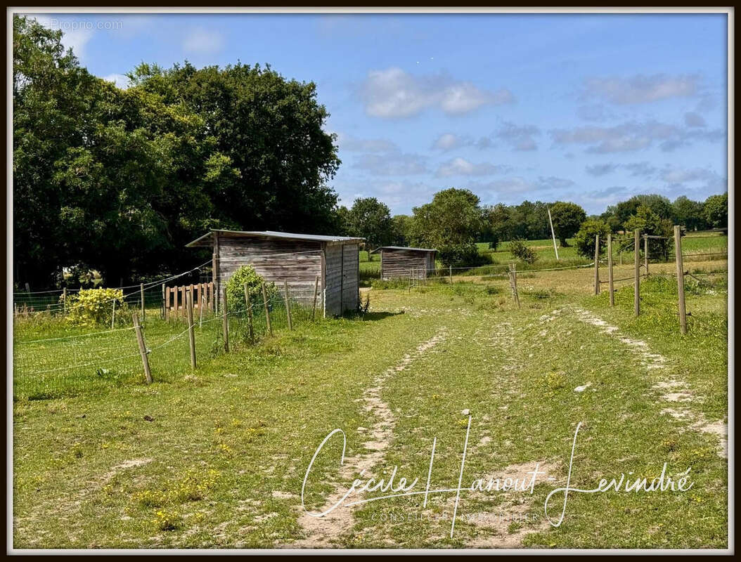 AUCEY LA PLAINE- Proche Mt St Michel-  Ensemble immo Maison: 270 m2 hab. + Dépendances pierre + Terrain 1,7 ha - photo 28