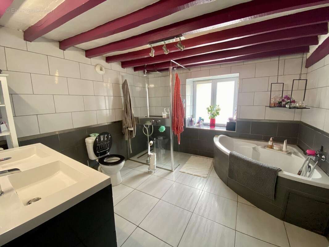 Salle de bains - douche - WC - Maison à BOITRON