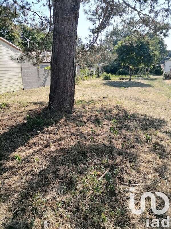 Photo 7 - Terrain à LA PLAINE-SUR-MER