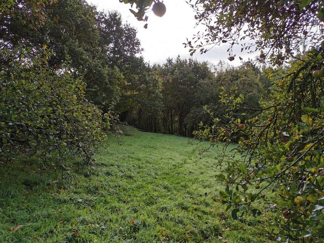 Maison à LA MEAUGON