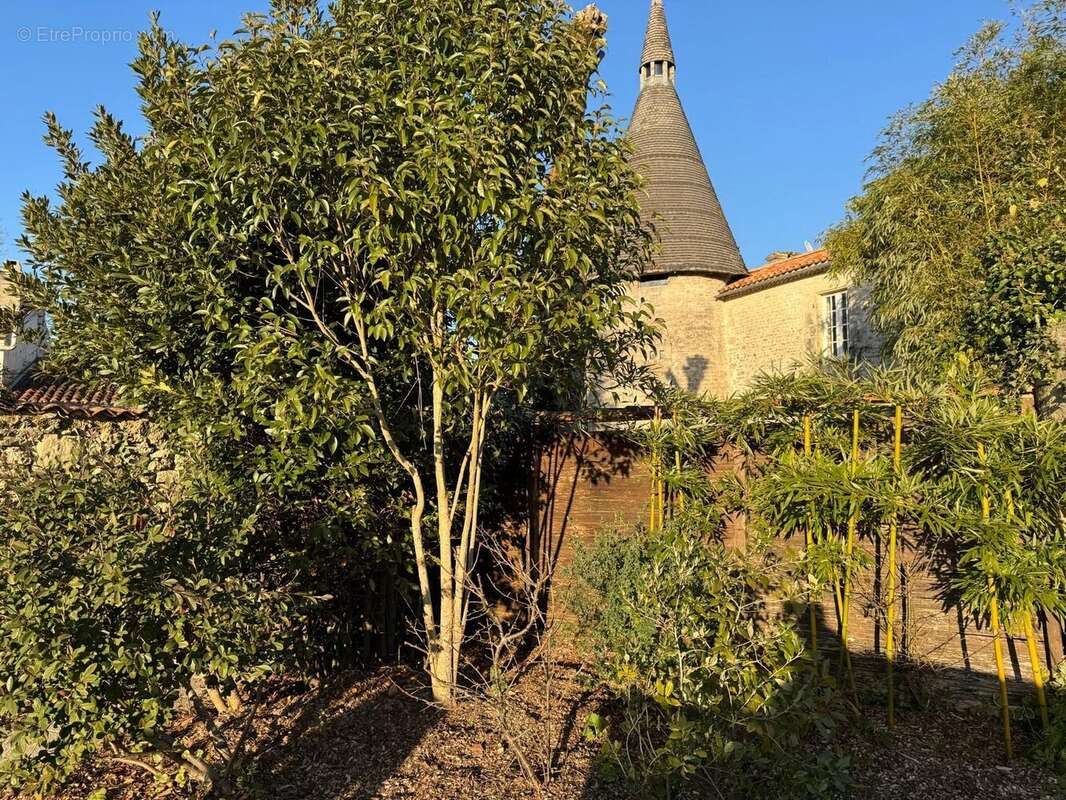 Maison à CHERBONNIERES