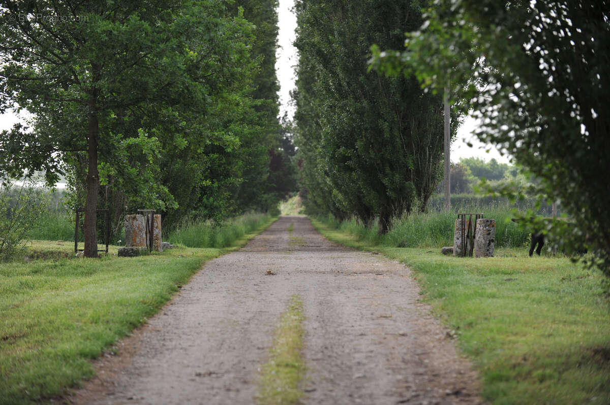Maison à SERIGNAC-SUR-GARONNE