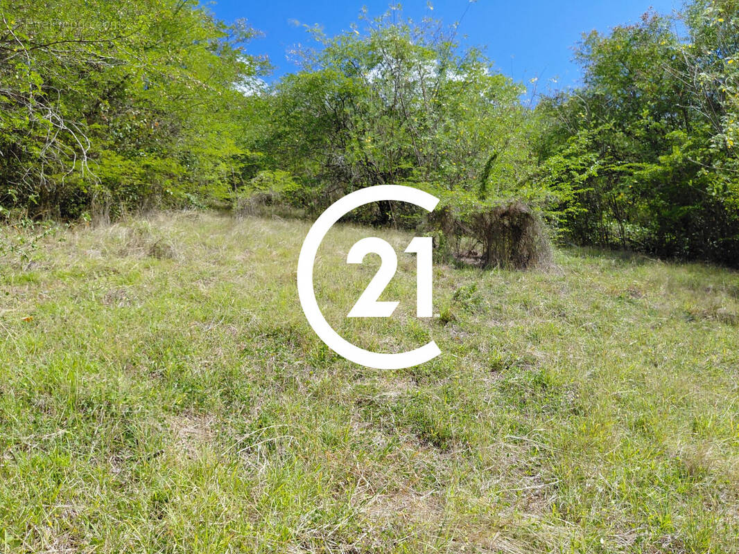 Terrain à SCHOELCHER