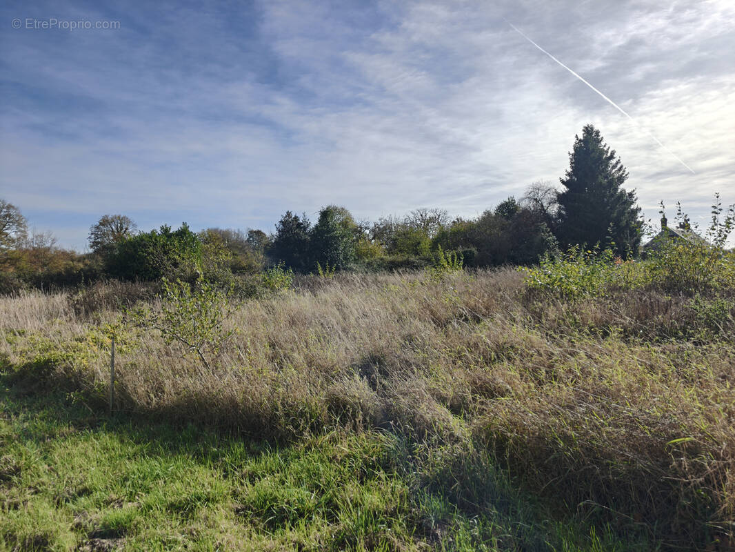 Terrain à LA VESPIERE