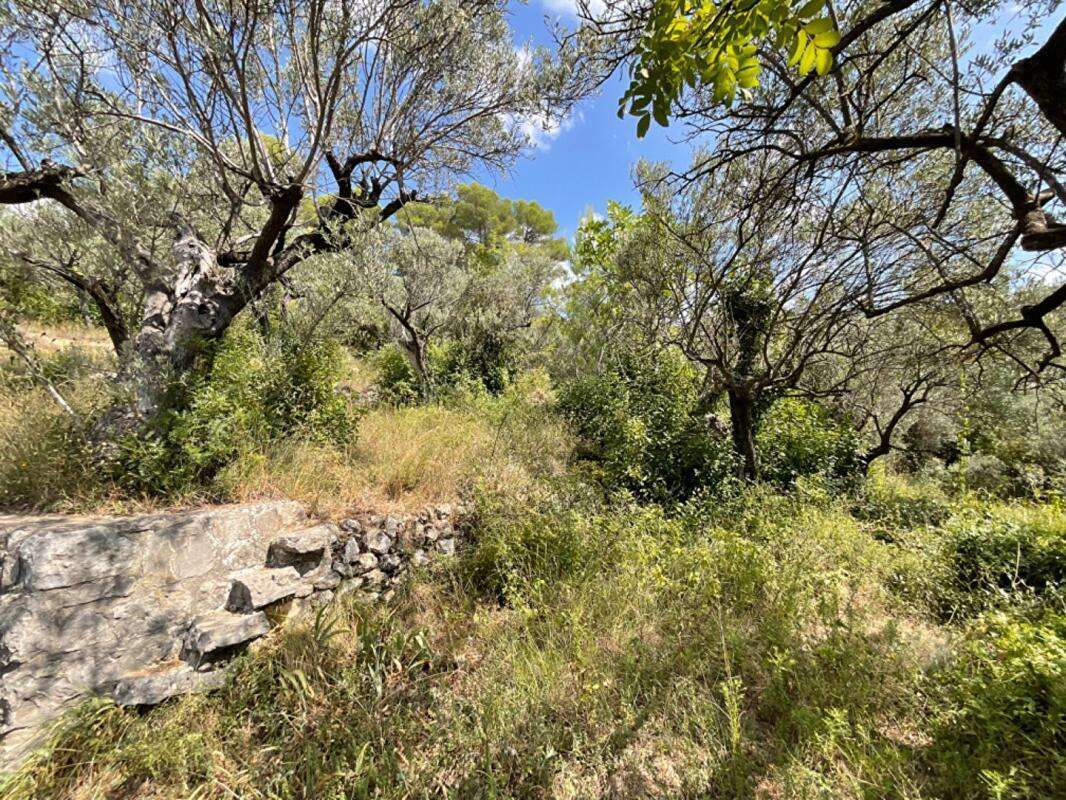 Terrain à CLAVIERS