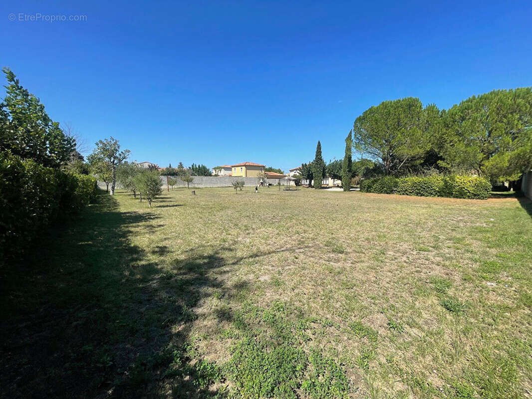 Terrain 3630m² à sorgues - photo 2