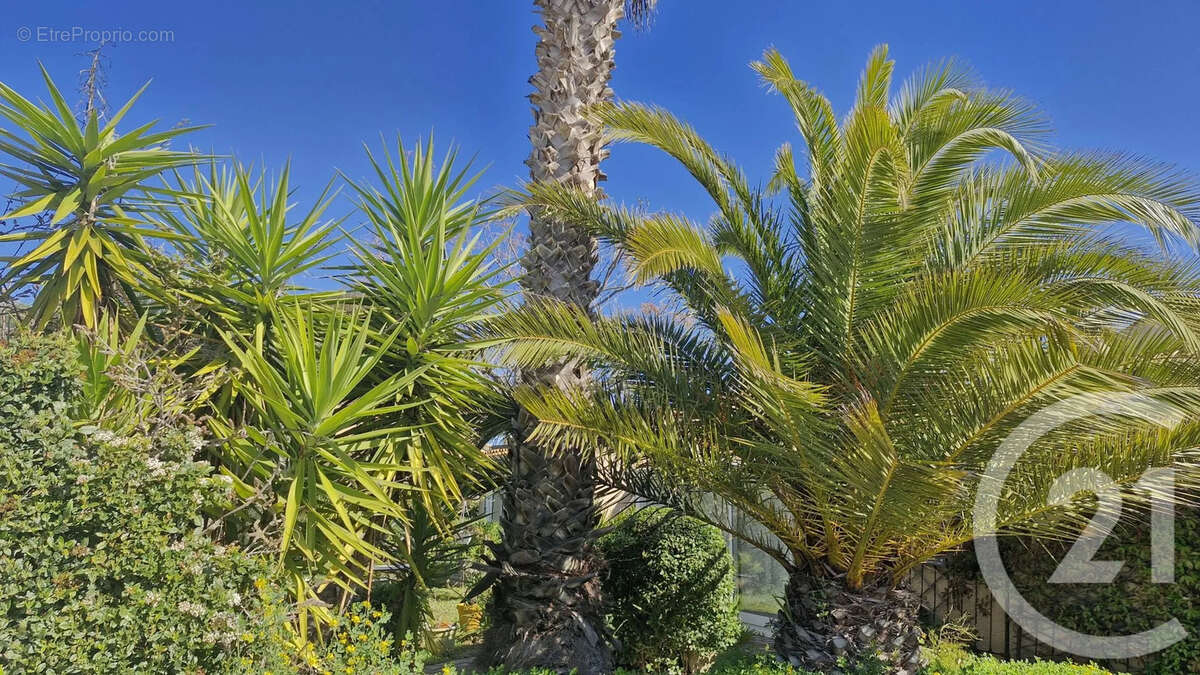 Maison à SIX-FOURS-LES-PLAGES