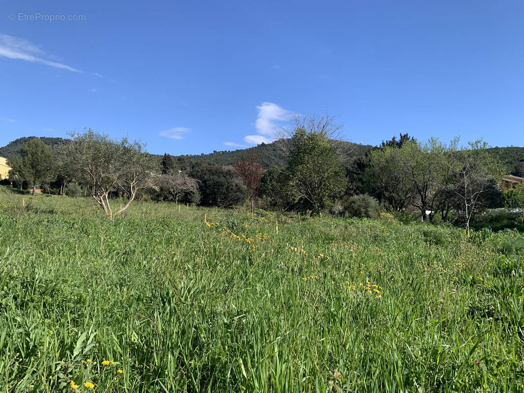 Terrain à LE PRADET