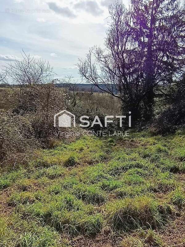 Photo 8 - Maison à BEAULIEU-SUR-SONNETTE