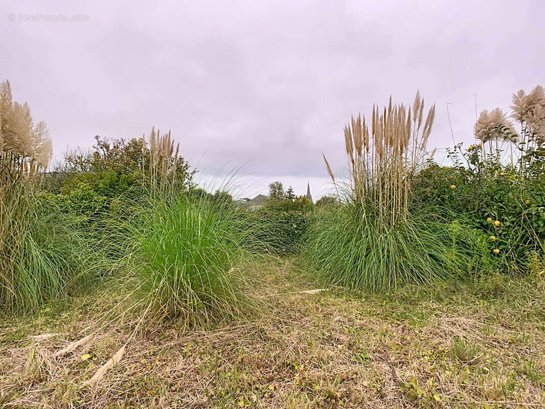 Maison à BRIGNOGAN-PLAGE