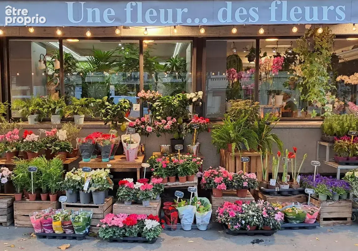 Commerces/Negoce - photo 3