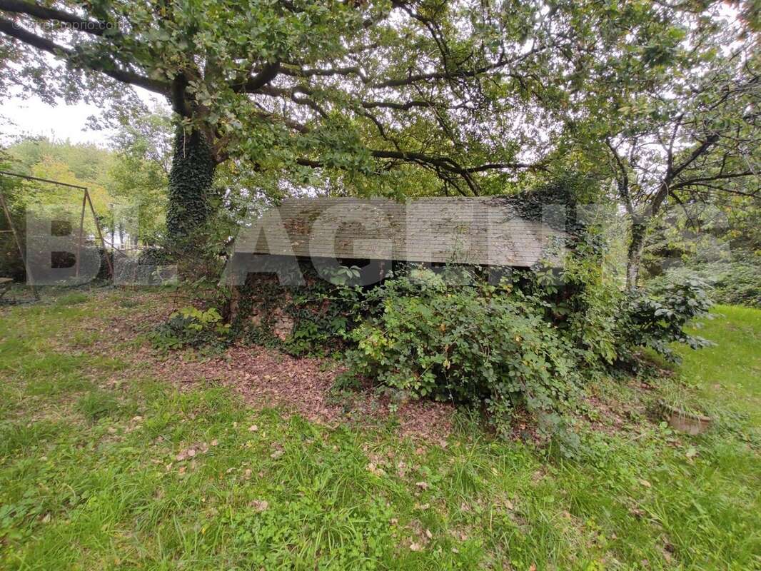 IMG_20250924_162554 - Maison à MONTOURTIER