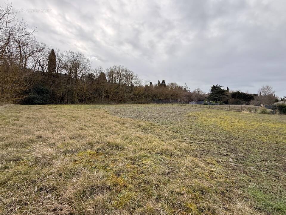 Terrain à SAINT-MARTIN-LALANDE
