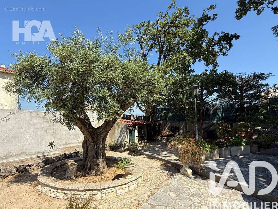 Photo 5 - Maison à SIX-FOURS-LES-PLAGES