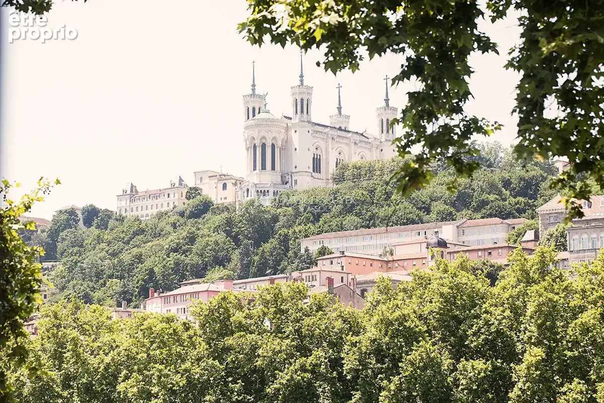 Appartement Familial / Activité professionnelle vue sur la Saône et Fourvière - photo 2
