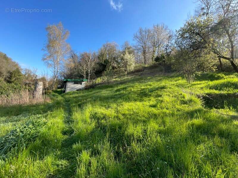 Maison de 67 m² - 4 pieces - grand terrain - photo 10