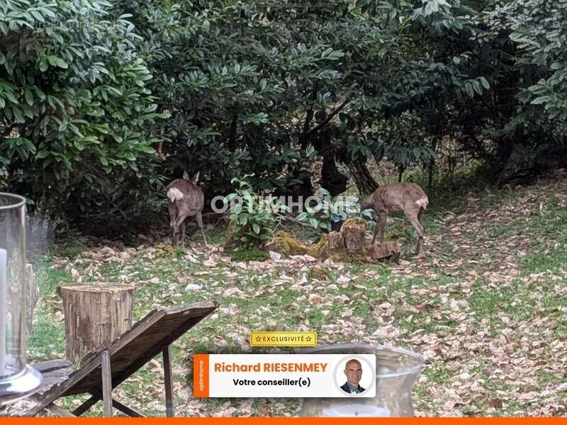 Maison à SAINT-CHERON