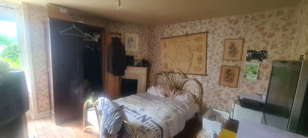 Bourg d'argentat, Maison année 30 avec jardin - photo 6