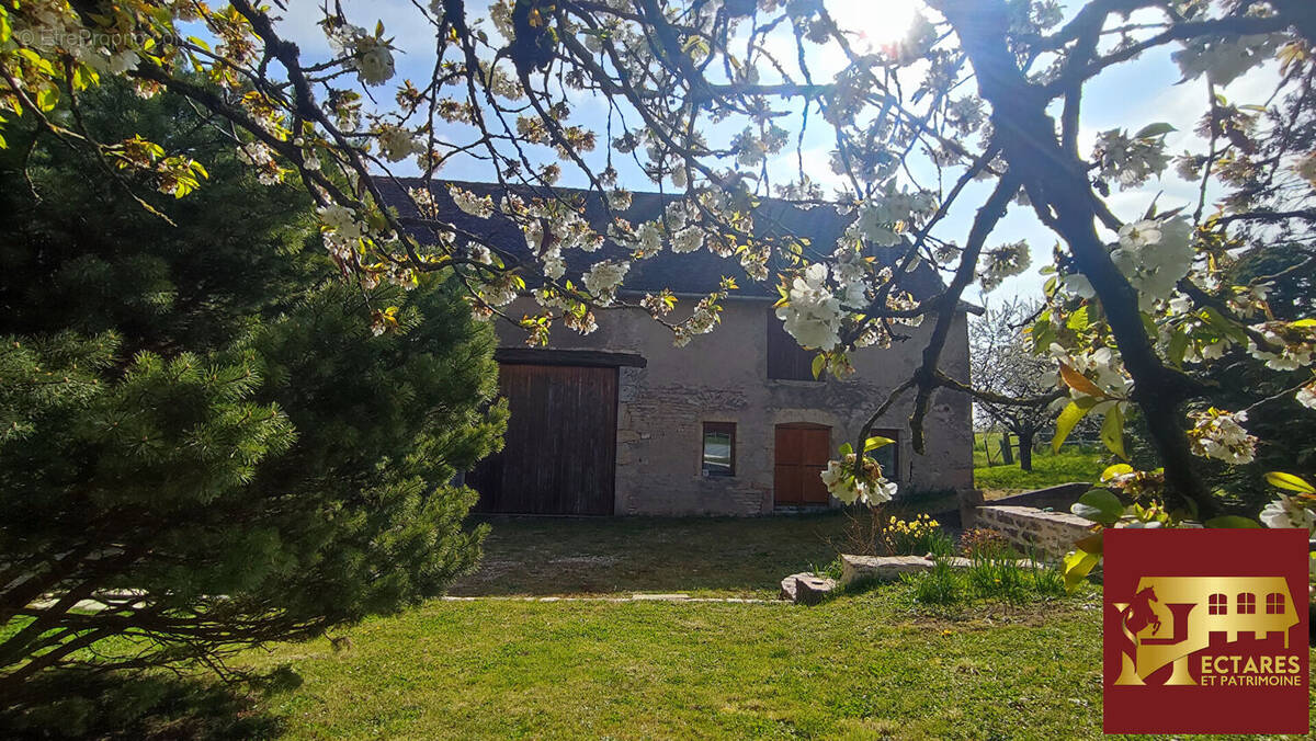 Maison à SENNECEY-LE-GRAND