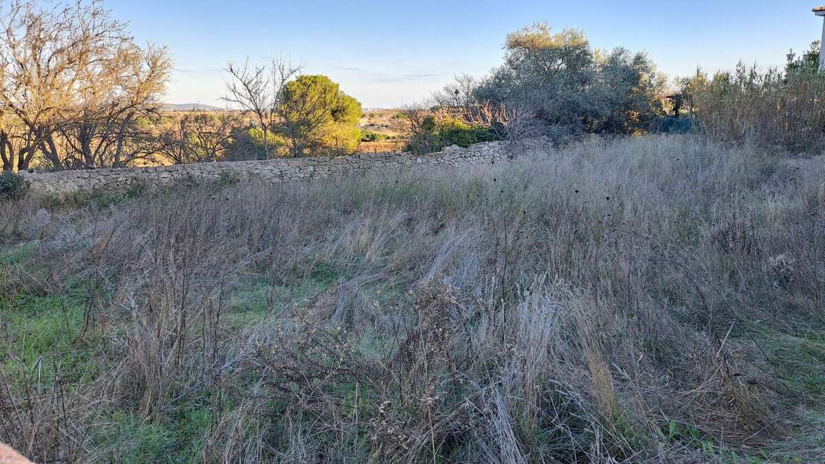 Terrain à MEZE
