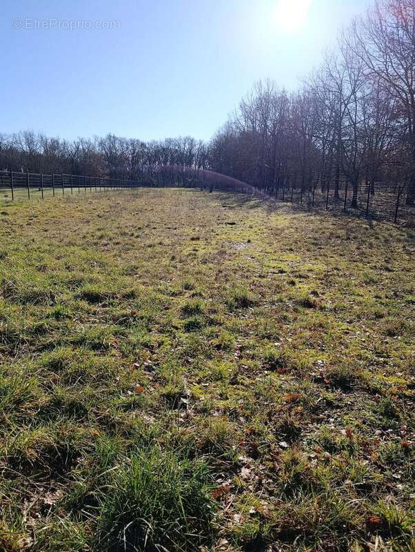 Photo 4 - Terrain à CASTELNAU-D'ESTRETEFONDS