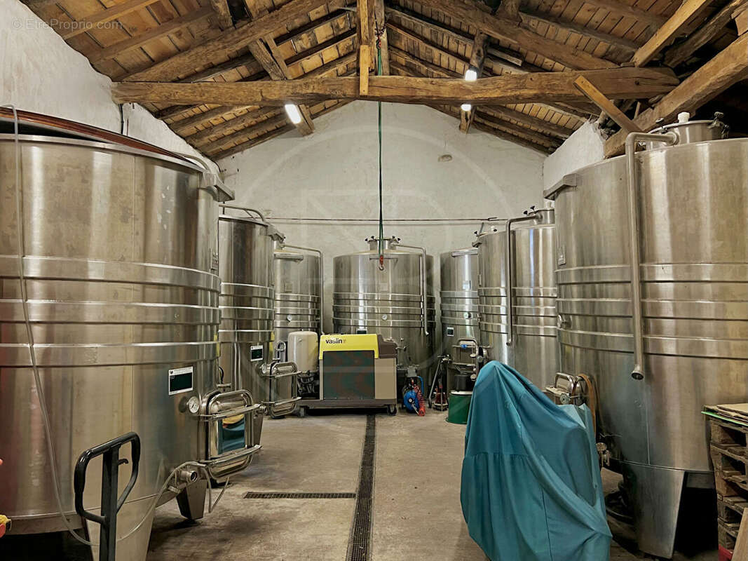 Élégant domaine viticole avec hébergements de vacances - photo 18
