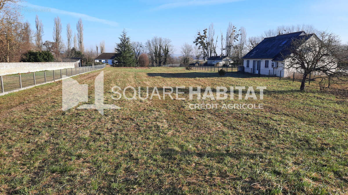 Terrain à TAVANT