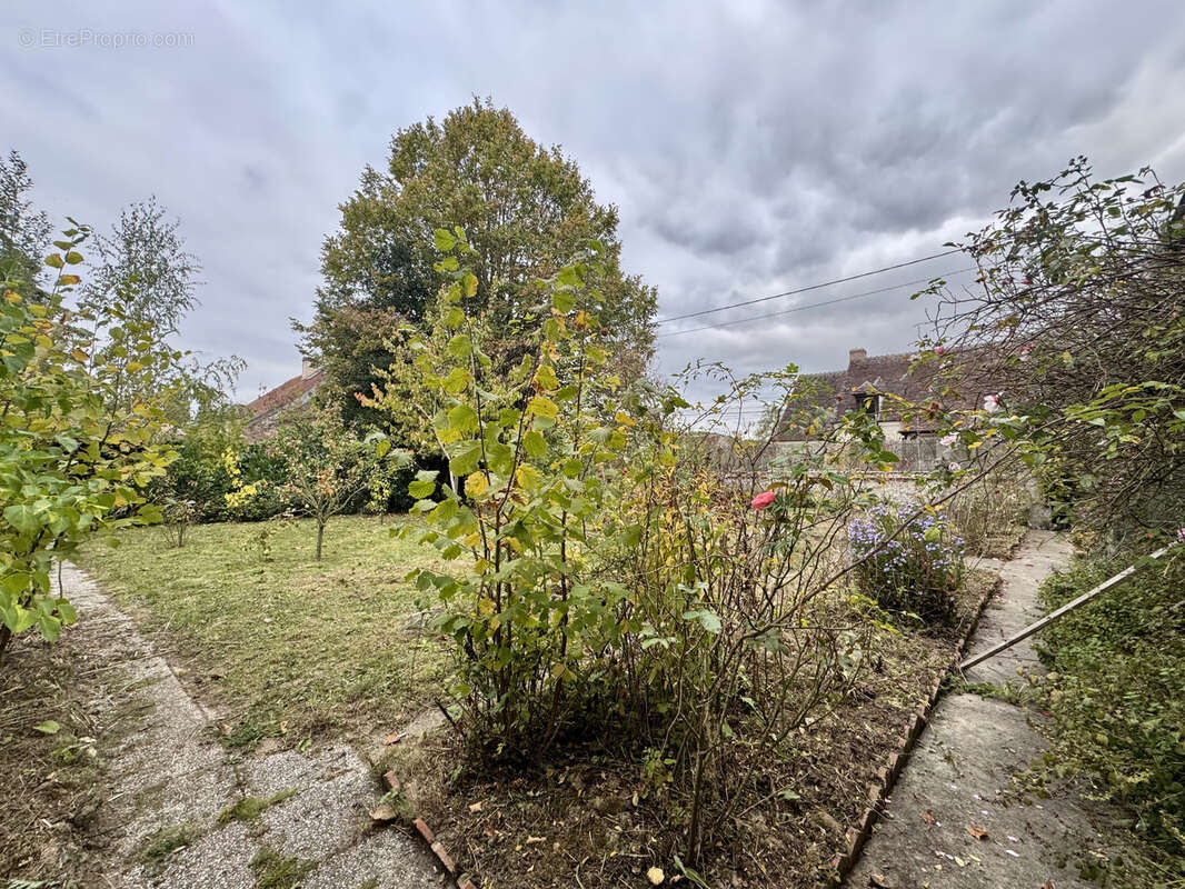 Maison à COULOMMIERS