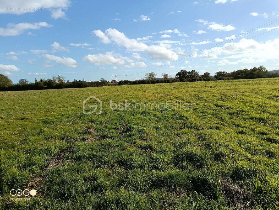 Terrain Agricole d’Exception – 15 Hectares à Aire-sur-l’Adour (40800) - photo 3