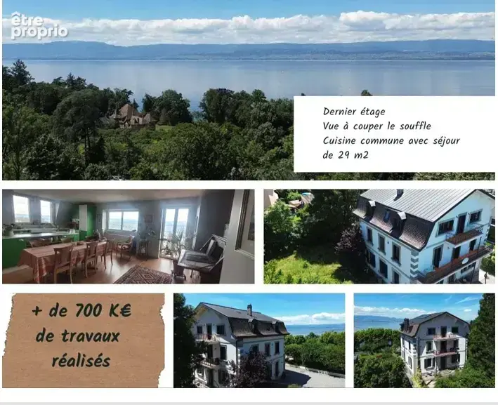 Exclusivité THONON Maison d'hôte /ou  habitation - photo 4
