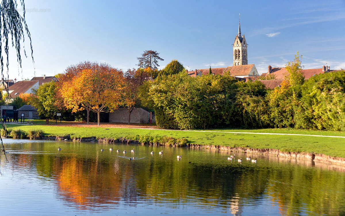 Terrain à LE CHATELET-EN-BRIE