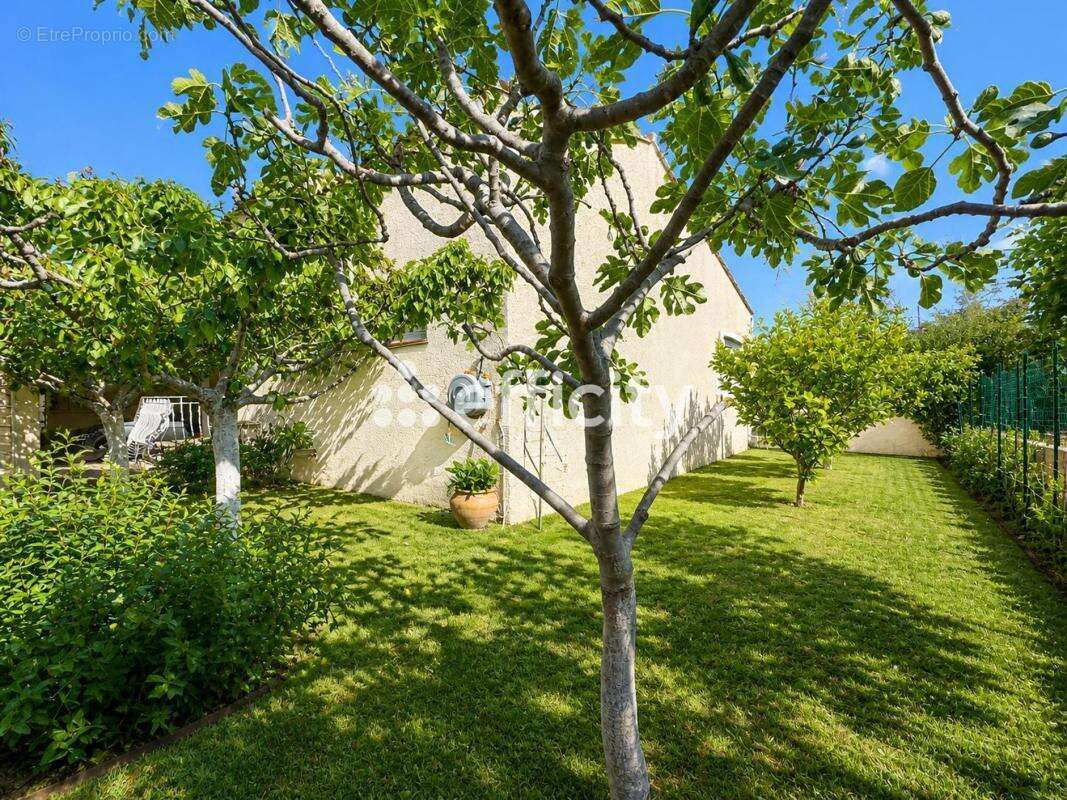 Maison à LE ROVE