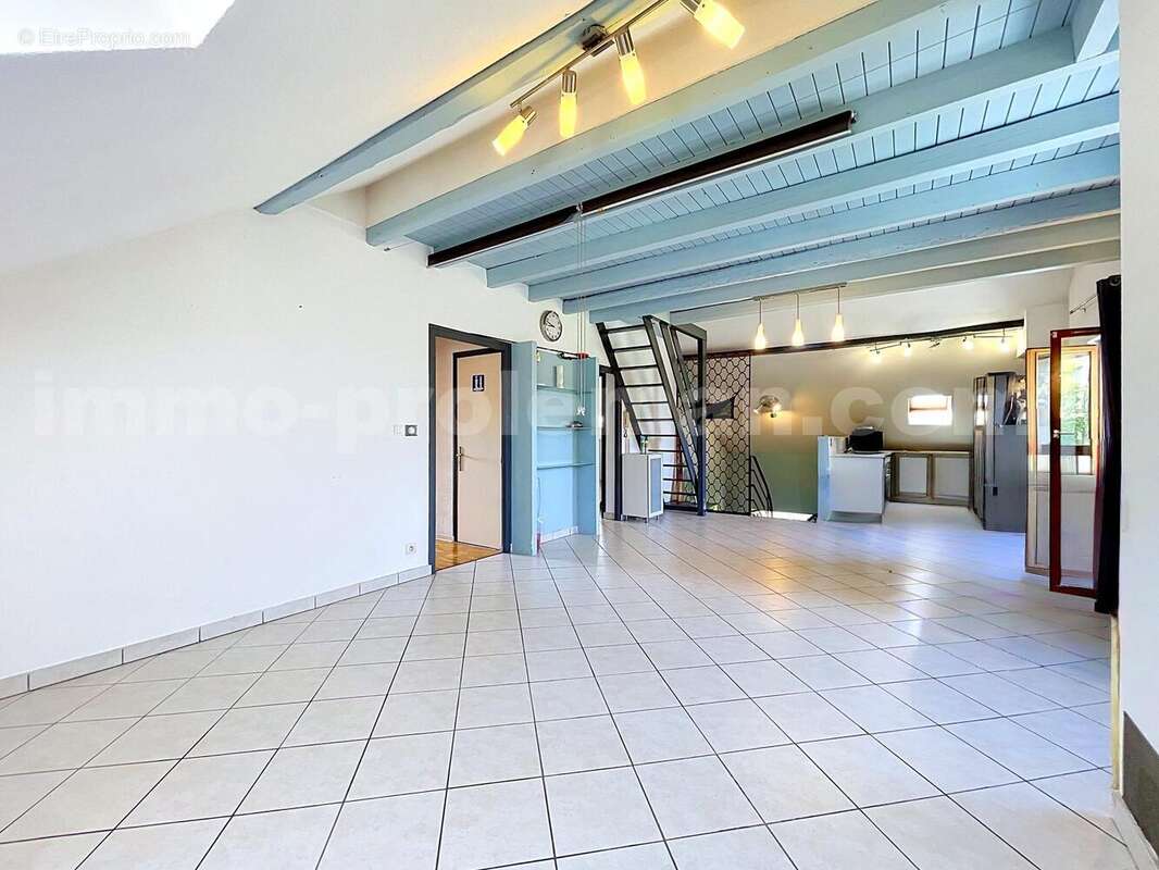 Appartement_T4_Ambilly_belle_superficie_prox_frontière_Suisse_tram_Ceva_direction_Genève_Secteur_calme_Verdoyant_Frontaliers_Cuisine_séjour - Appartement à AMBILLY