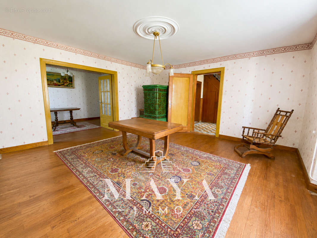 Steinbrunn-Le-Haut, Maison avec dépendance. - photo 6