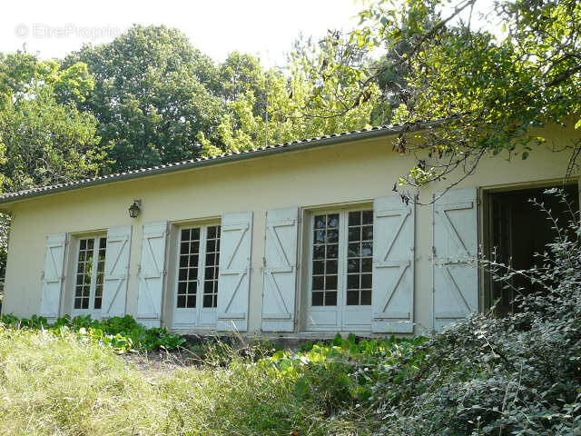 Maison à SAINTE-COLOMBE-EN-BRUILHOIS