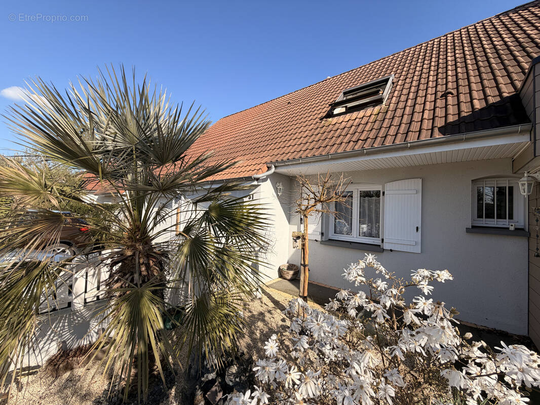 Maison à NEUVILLE-SUR-SARTHE