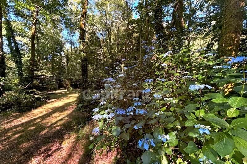 Terrain en zone naturelle et forestière boisé et fleuri de 4 880,00 m² proche de QUIMPER (29) - photo 6