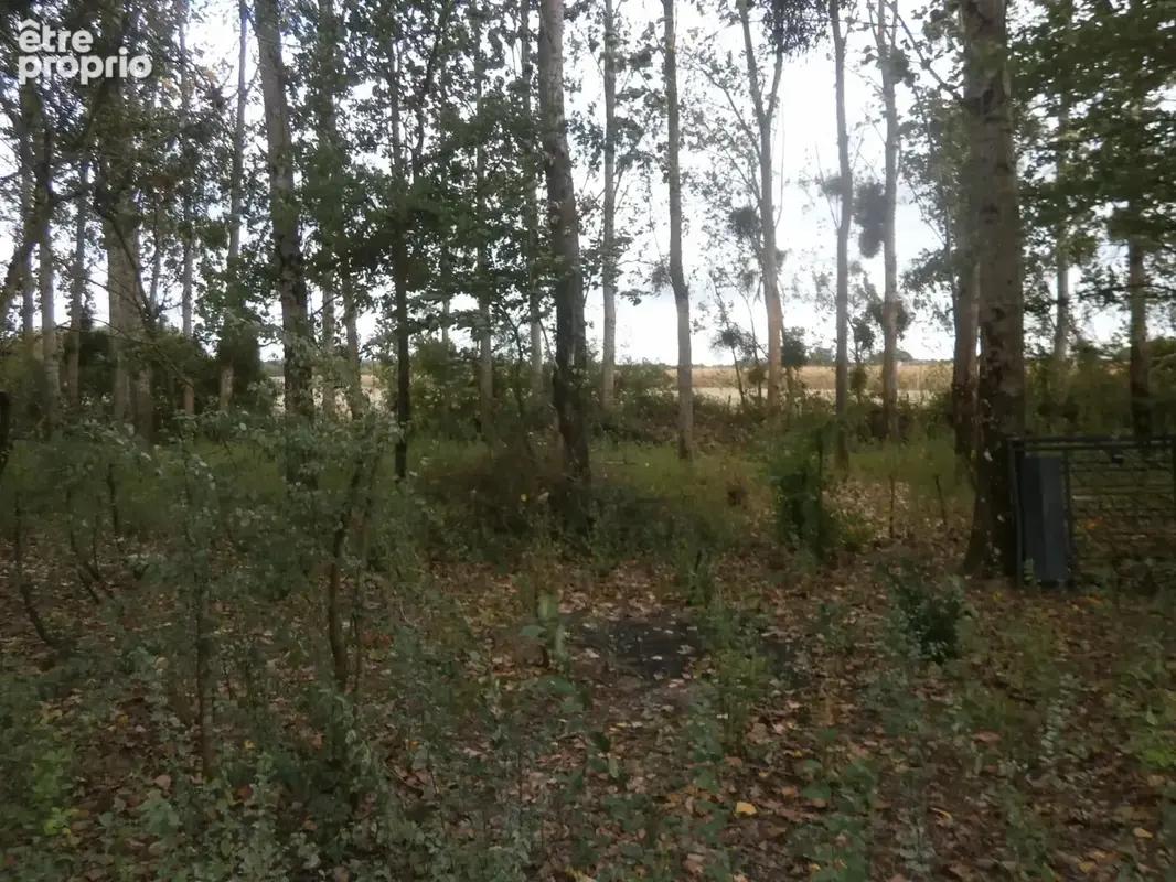 Terrain de loisirs 2370 m2 en partie boisee de peupliers - photo 2