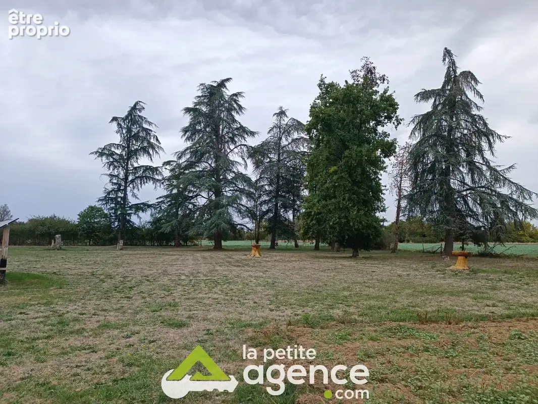Maison 3 chambres sur près d'un hectare de terrain - photo 24