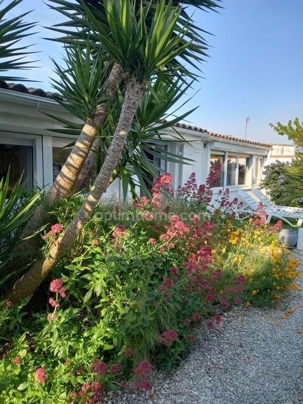 Maison à SAINT-MARTIN-DE-RE