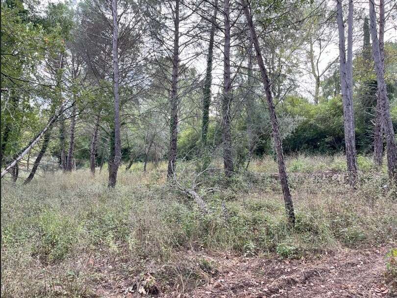 Terrain à TOURRETTES