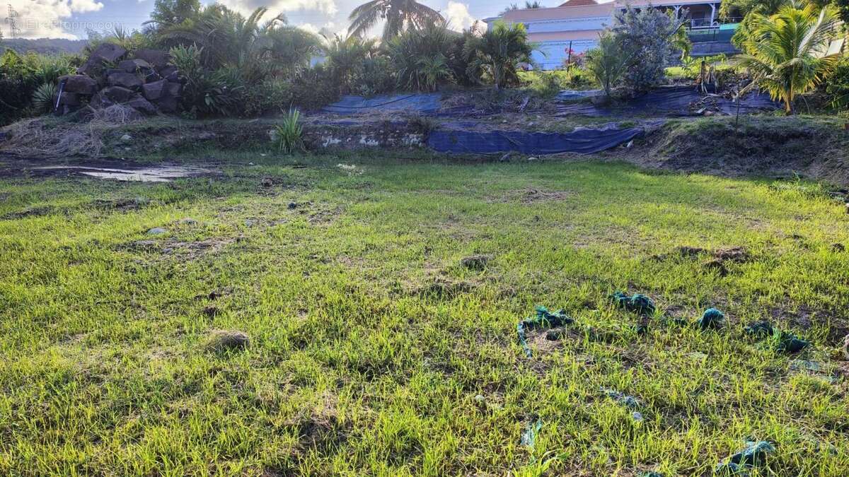 Terrain à LE VAUCLIN