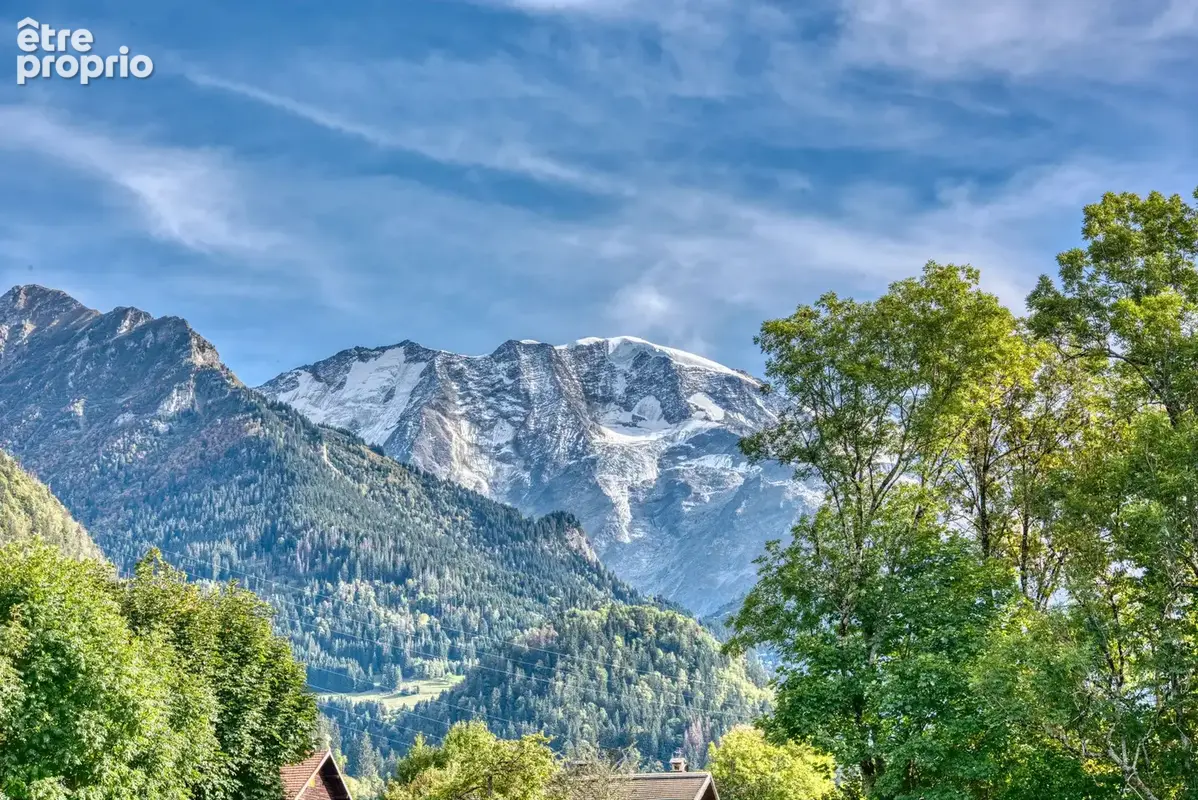 Terrain 1 075 m² à vendre à Saint-Gervais-Les-Bains (74170) - photo 3