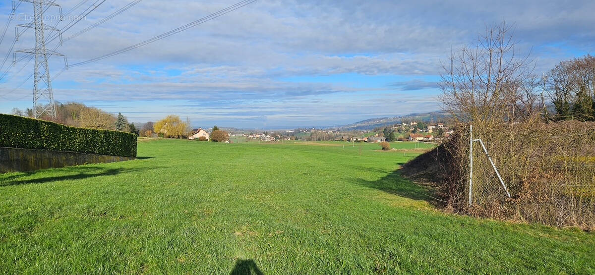 Terrain à DOMESSIN