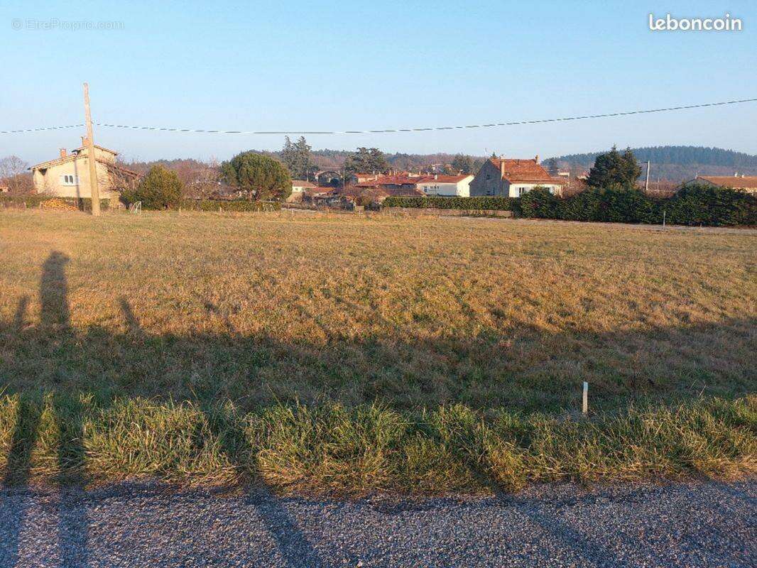 Terrain à SAINT-VICTOR