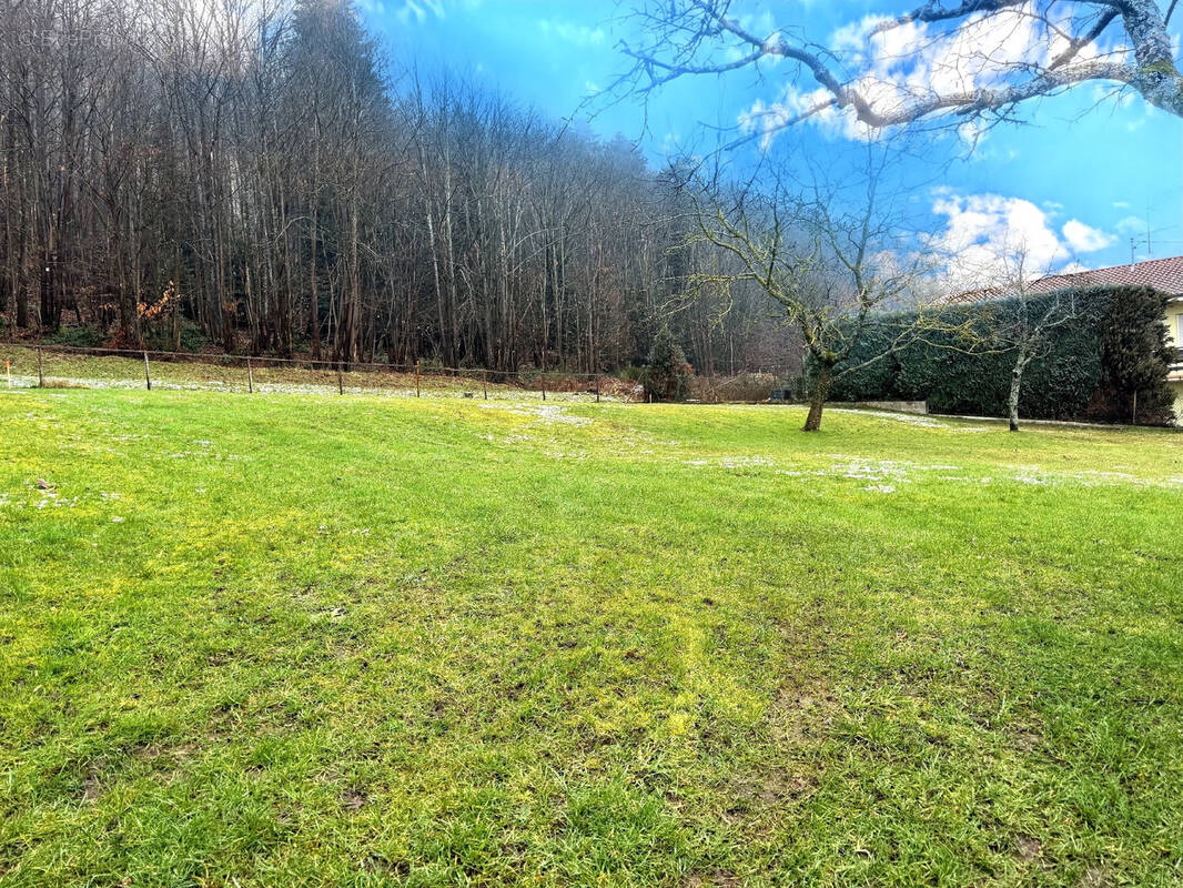 Terrain à THAL-MARMOUTIER