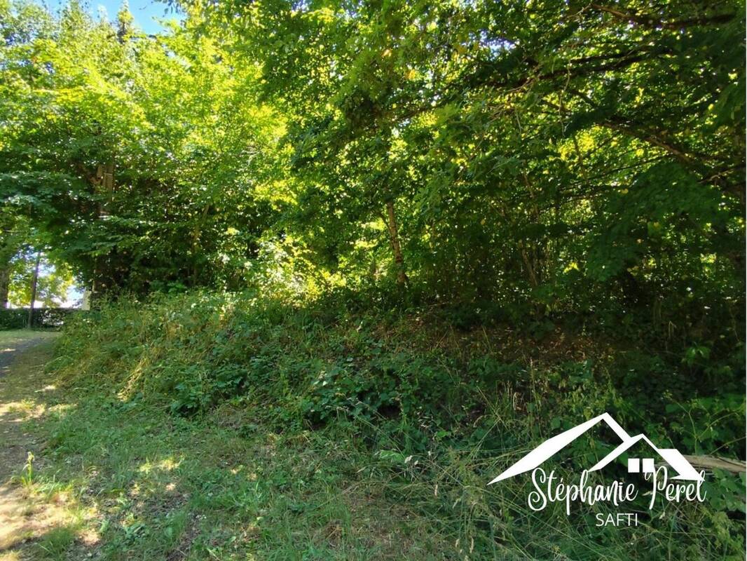 Photo 1 - Terrain à NEUVIC