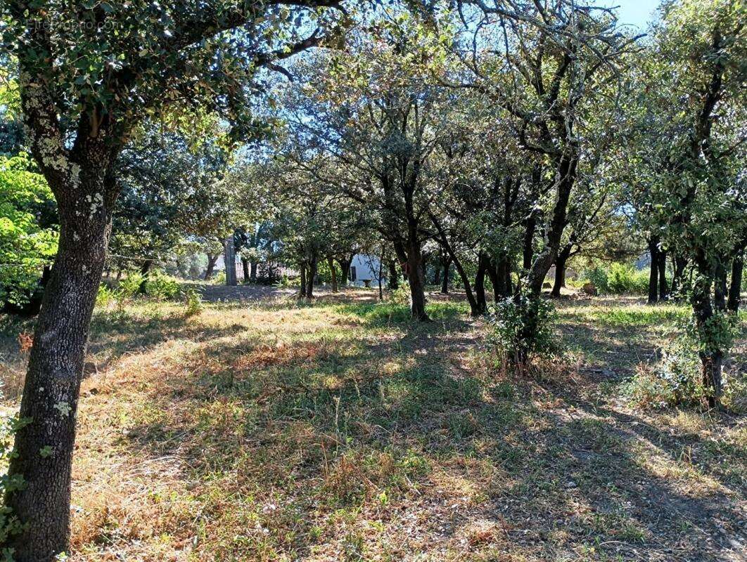 Mas en pierres mitoyen proche Anduze sur terrain constructible de 3300 m2 - photo 3